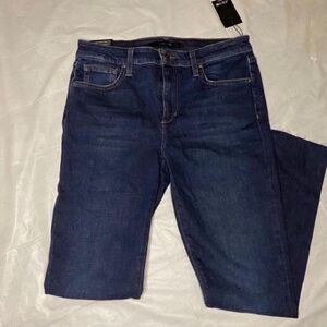 Joe's Jeans high Rise Curvy Skinny Jeans Size 29